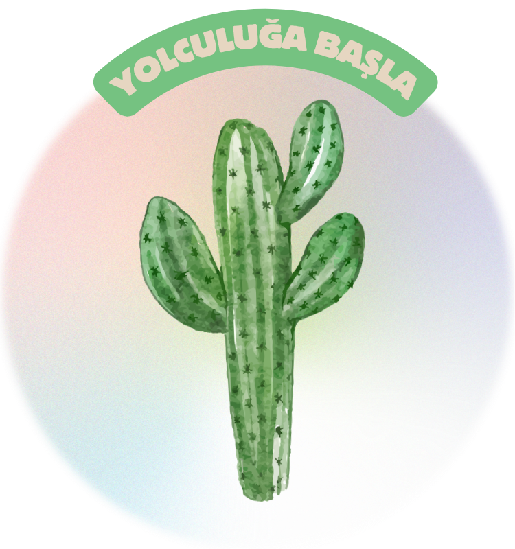 Yolculuğa Başla
