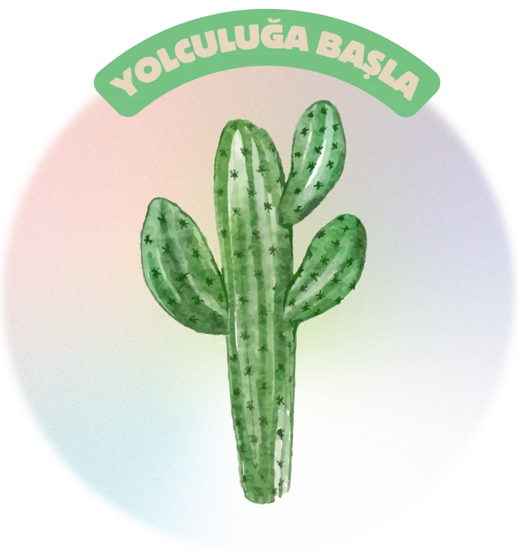 Yolculuğa Başla
